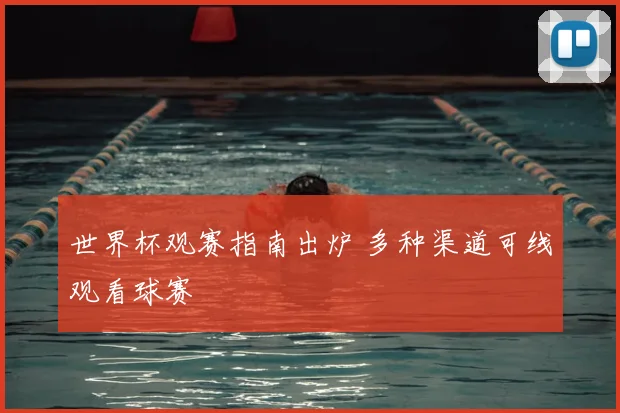 世界杯观赛指南出炉 多种渠道可线观看球赛