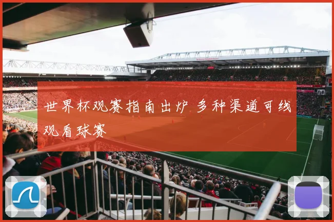 世界杯观赛指南出炉 多种渠道可线观看球赛