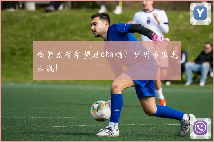 向紫龙有希望进cba吗？听听专家怎么说！